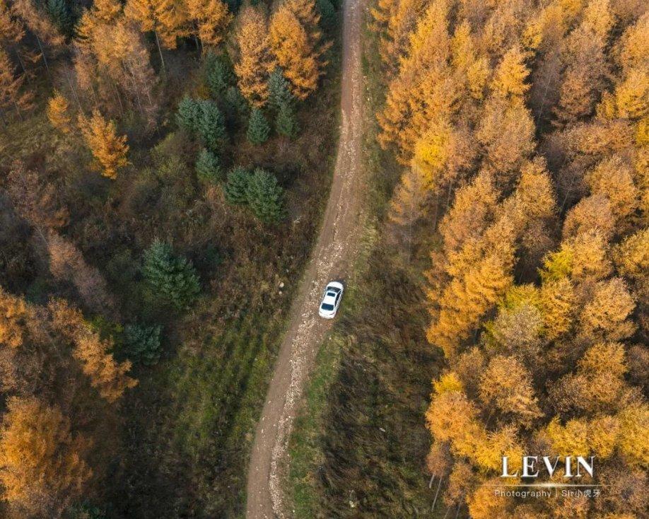 全国多地发通知,乘火车飞机不再查核酸钟南山最新发声值得注意,你怎么看?-品味知识的美味。